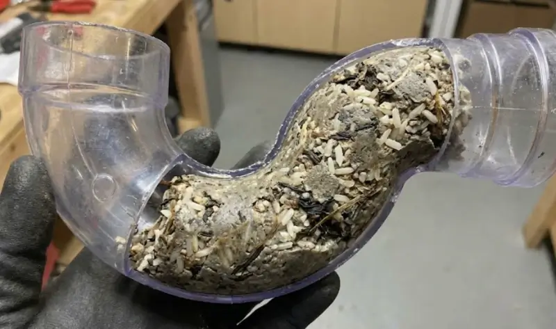 گرفتگی لوله های فاضلاب