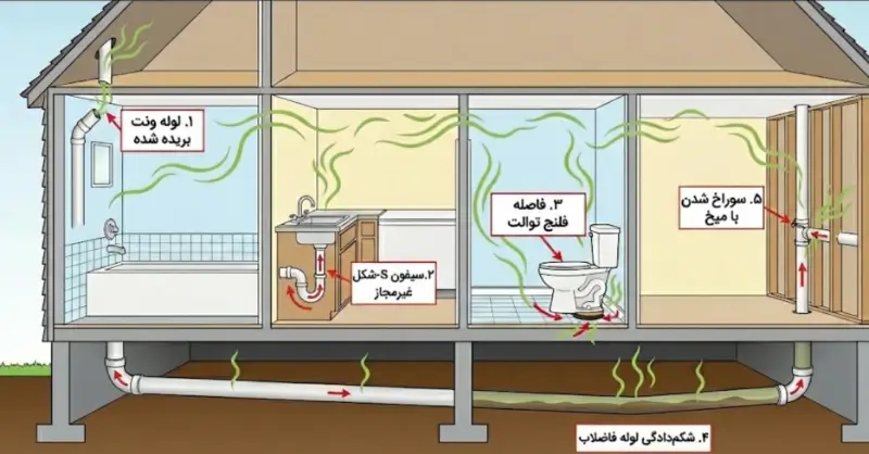 شکم دادگی لوله فاضلاب