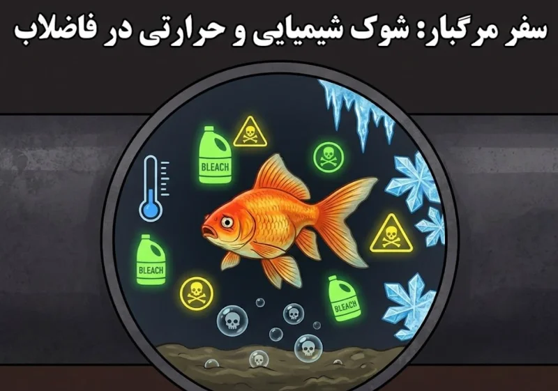 شوک بیولوژیک ماهی به فاضلاب