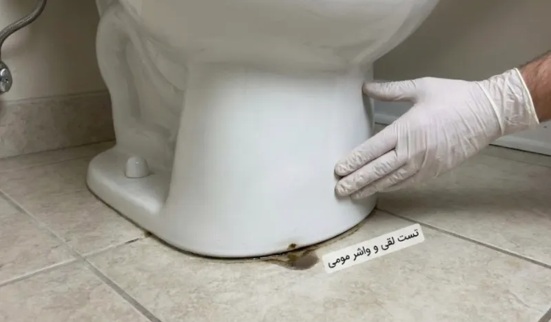 بررسی واشر مومی