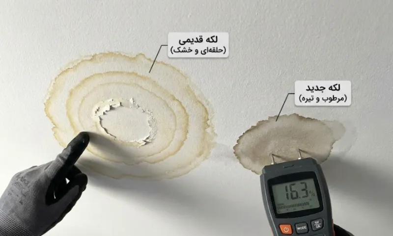 بررسی لکه های نم